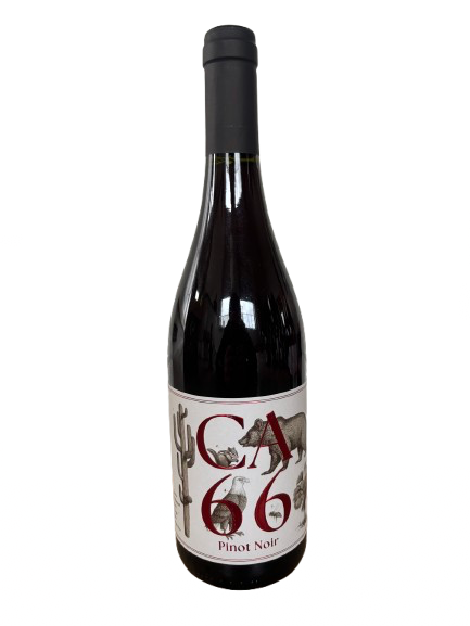 CA66 Pinot Noir